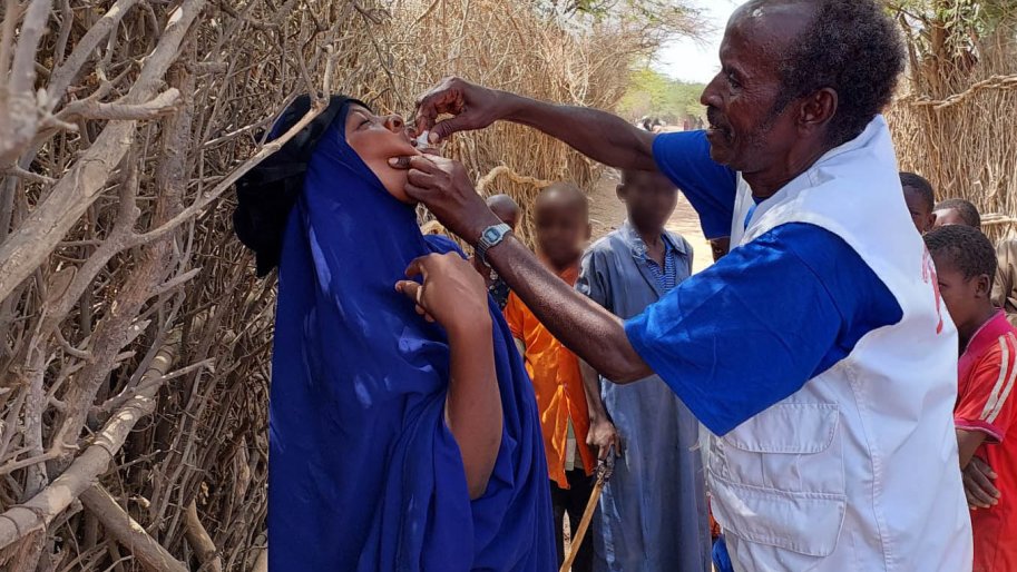 Cholera Vaccination MSF Dadaab