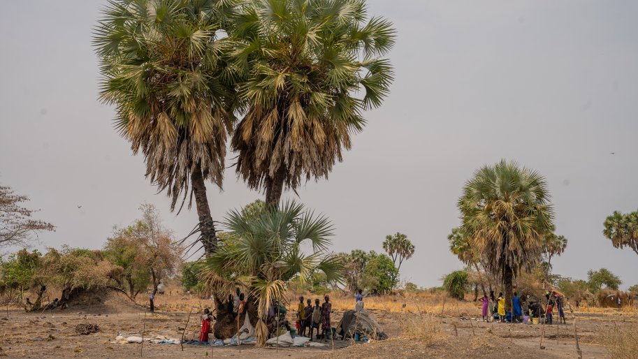 Des familles déplacées par les récentes violences vivent sous les palmiers à Thanakuach, dans l'État de Jonglei, au Soudan du Sud