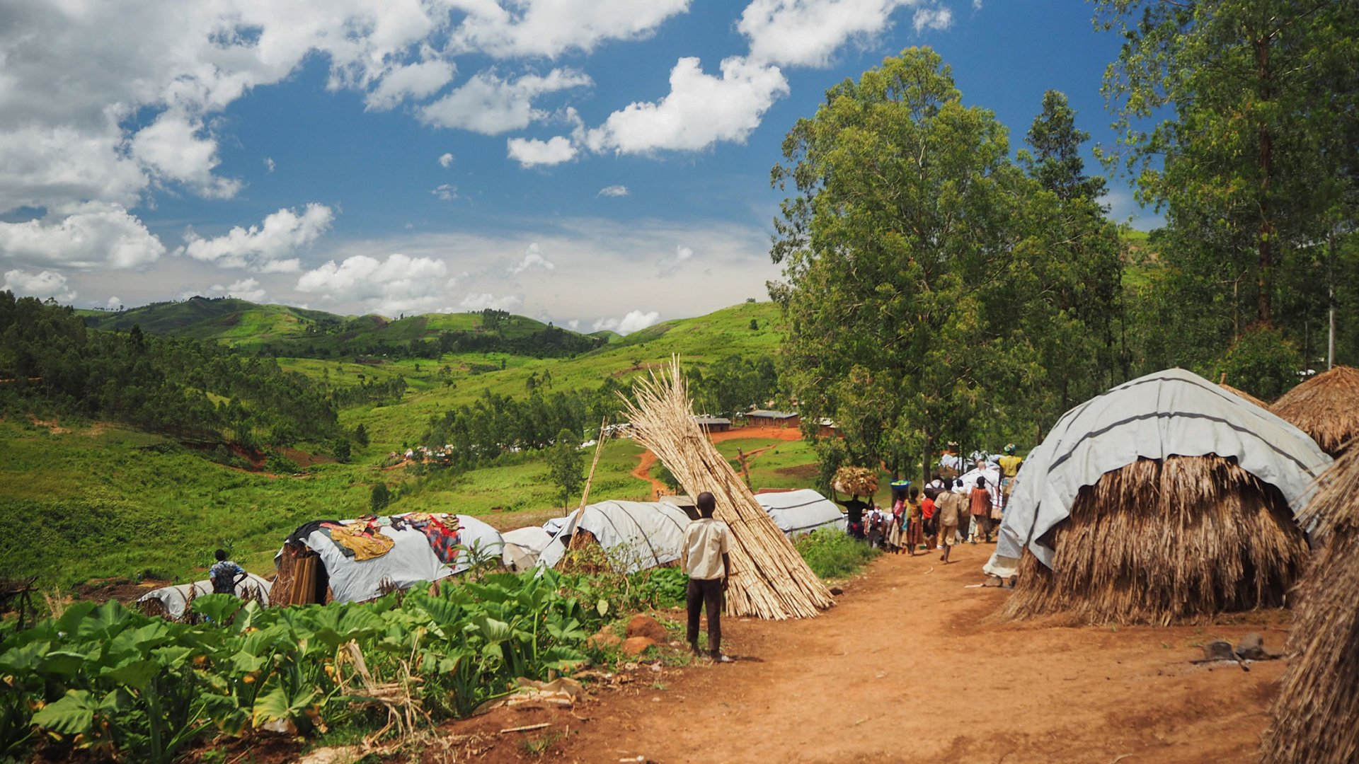 Vue globale d'un camp de déplacés dans la province de l'Ituri en RDC.