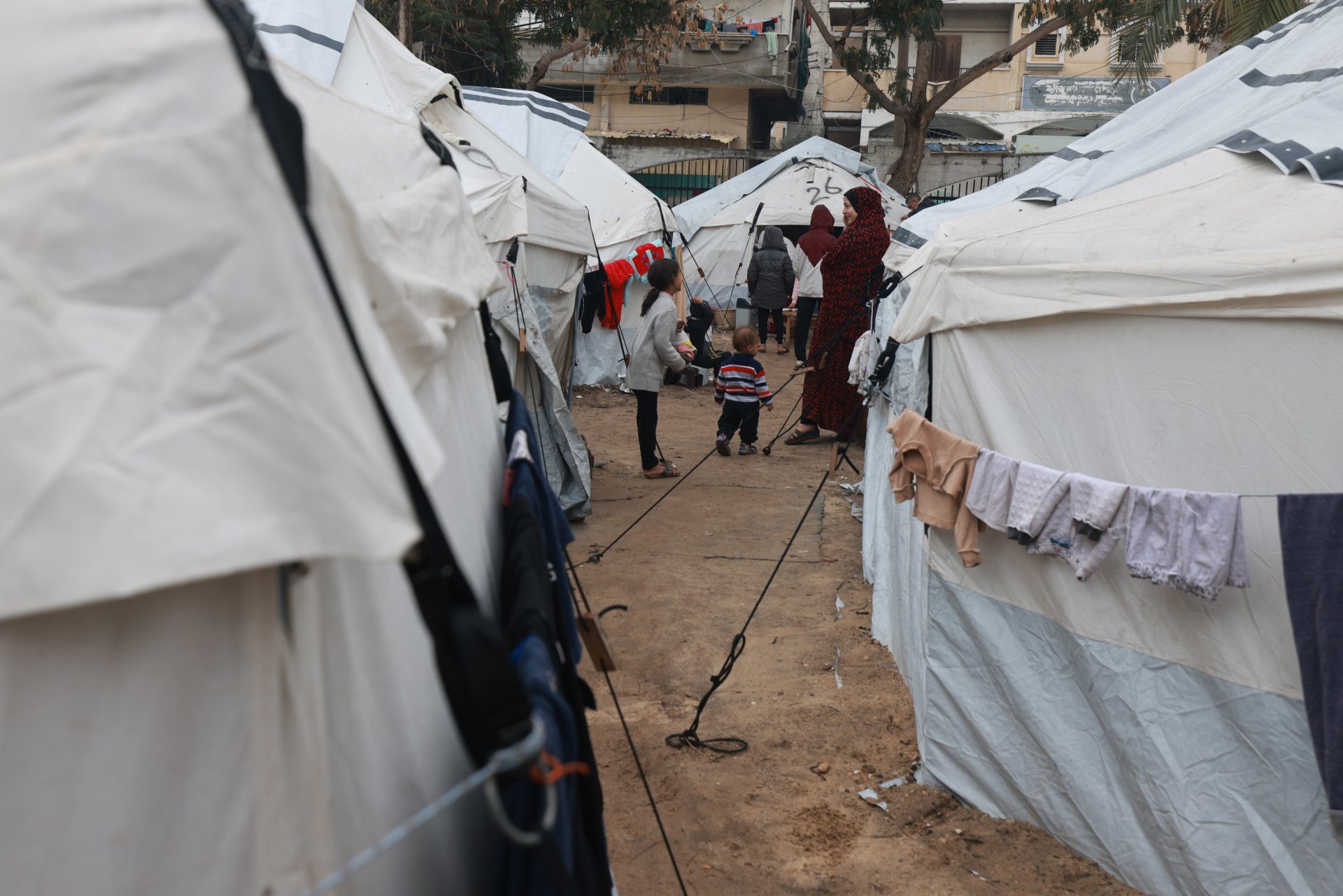Camp de personnes déplacées internes proche de l’hôpital indonésien de Rafah. 