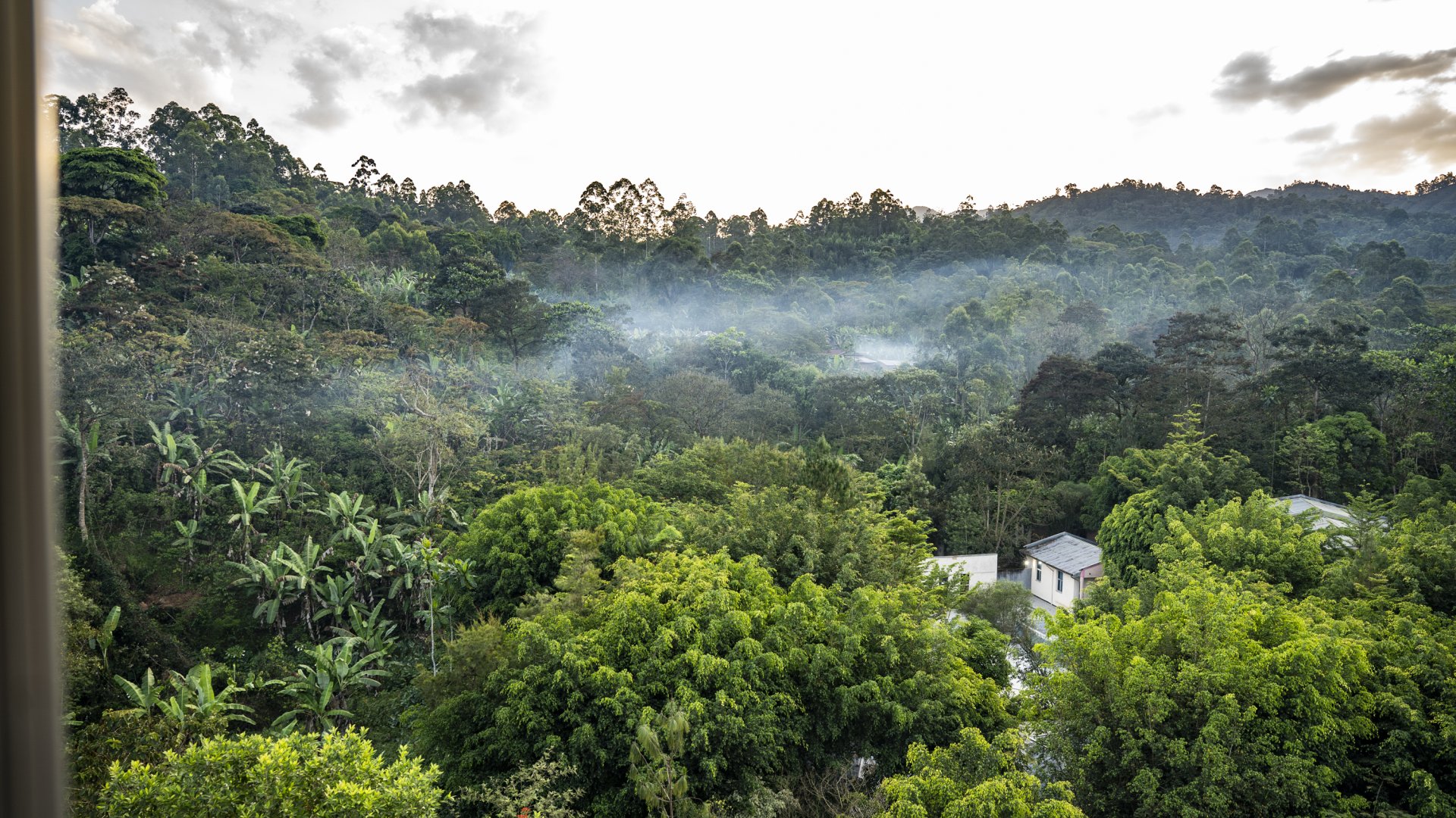 La région de Mizan et ses environs sont réputés pour leurs paysages verdoyants ; cependant, cela entraîne également la formation d'eaux stagnantes, qui peuvent favoriser la reproduction des moustiques et contribuer à des épidémies récurrentes de paludisme.