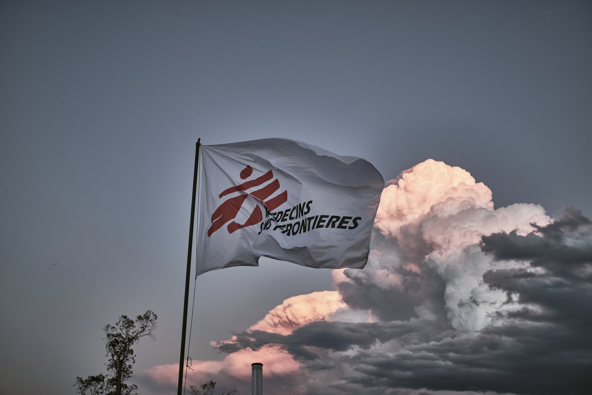Flag MSF