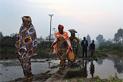 Réfugiés du Nord Kivu, RDC. 