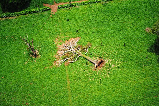 Dégâts infligés par la tempête tropicale Agatha, Guatemala, 2010