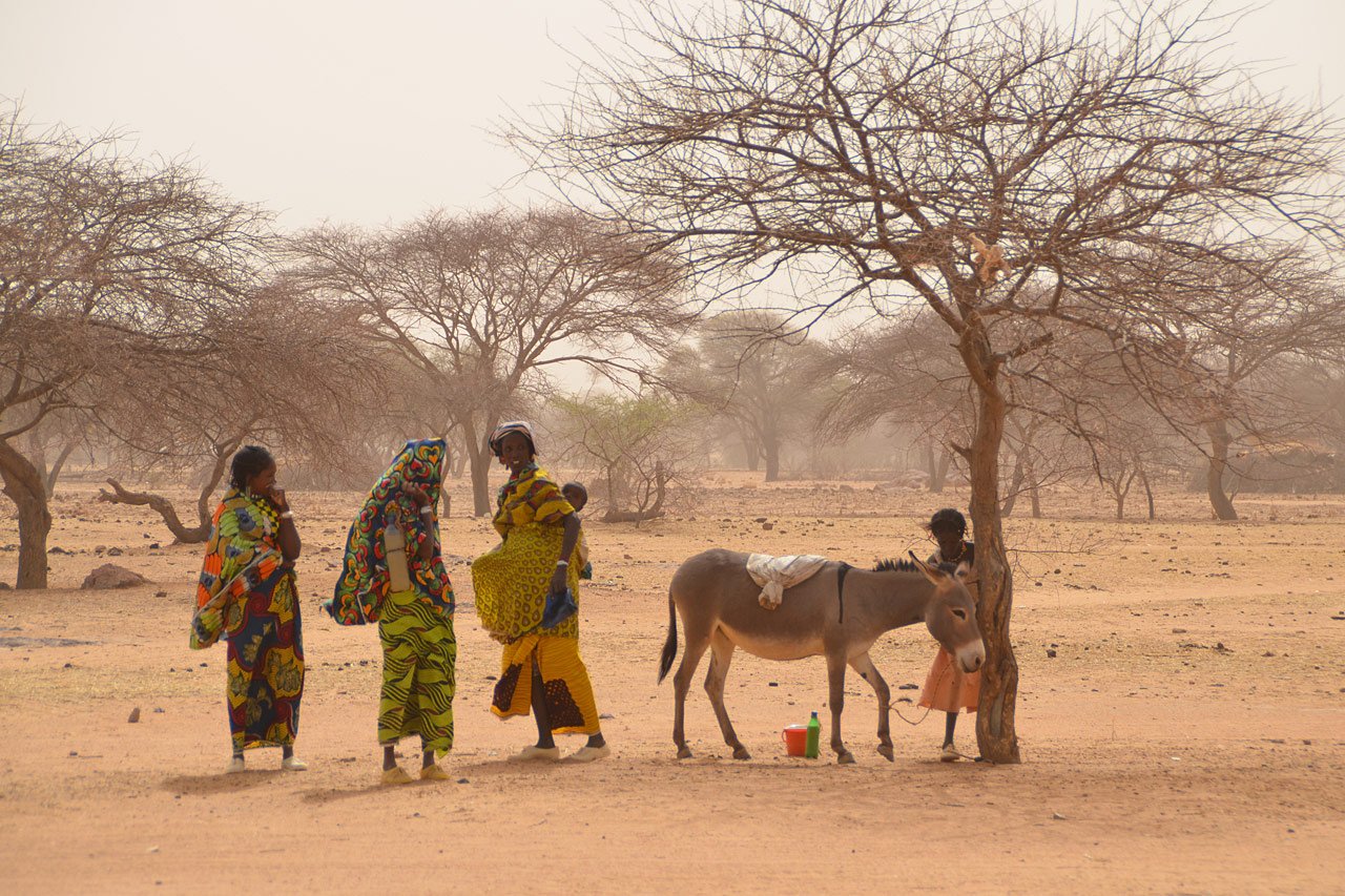 «L’insécurité alimentaire est une menace tant pour les réfugiés maliens que pour les populations hôtes déjà appauvries par les mauvaises récoltes»