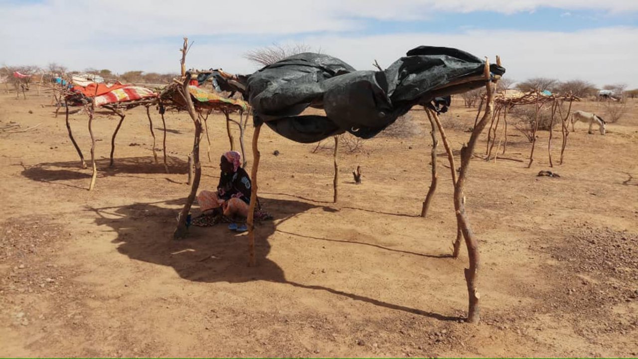 Kongokiré, Tillabéry, 13.02.2019