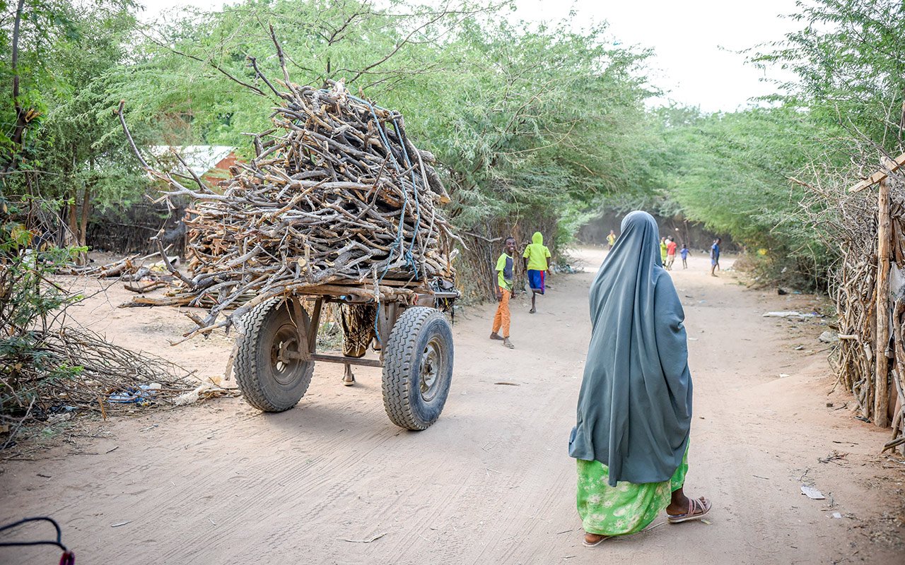 Une femme vue de dos à côté d’une charrette remplie de bois 