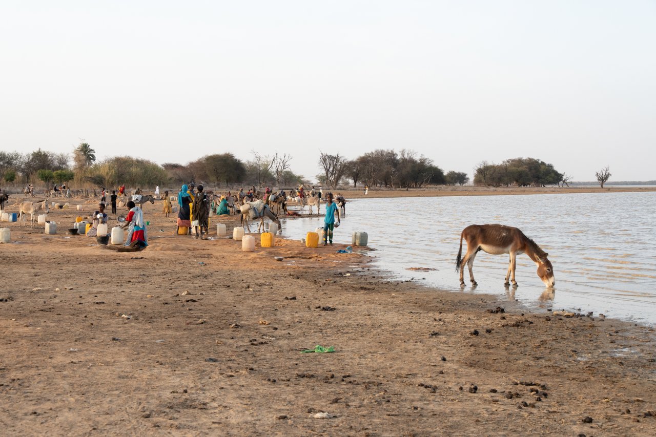 Un âne s'abreuve au lac Karyari, tandis que des gens remplissent des récipients sur la rive.