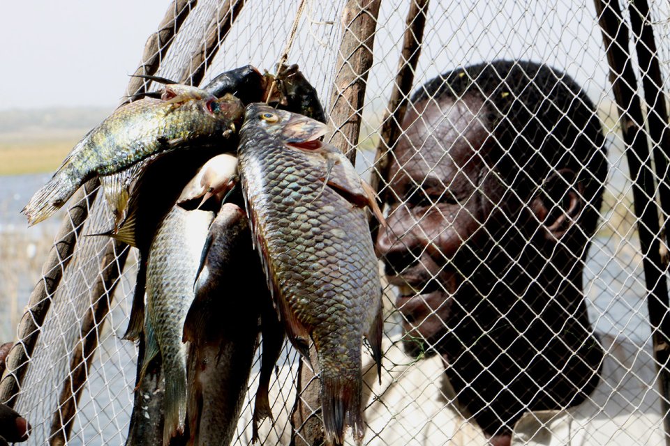 Lac Tchad, 2017