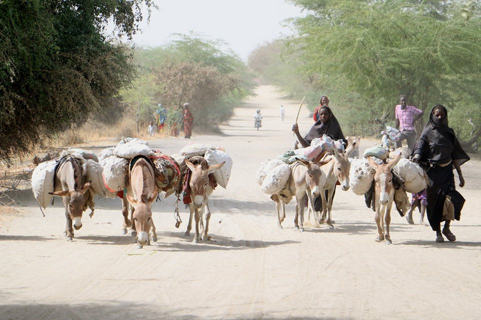 Lac Tchad, 2017