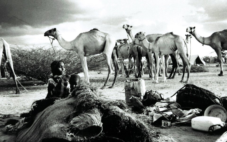 Zwischen 1991 und 1993 fliehen etwa 300 000 Somalierinnen und Somalier über die Grenze in den Nordosten Kenias. Die meisten gehen kilometerweit durch die Wüste und lassen sich in der Nähe von Dadaab nieder.
