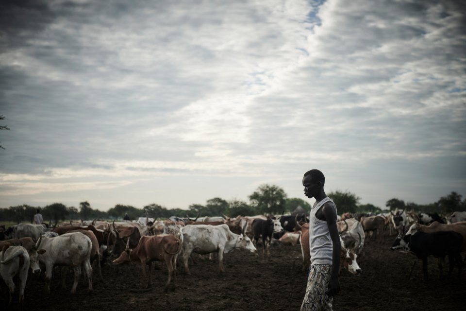 Ein Rinder-Hirte in Abyei. Südsudan, August 2022.