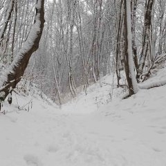 Fussspuren im Schnee. Dezember 2022, Litauen.