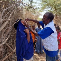 Cholera Vaccination MSF Dadaab
