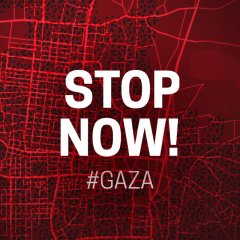 MSF Gaza Stop Now
