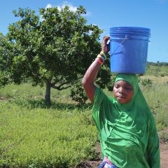 Rabia Chico, mère de deux enfants vivant dans la communauté de Muepane à Mogovolas, ramène de l'eau collectée dans l'un de nos puits protégés dans la région. "Les jours de souffrance sont enfin derrière nous", se réjouit-elle.