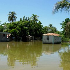 Après le passage du dernier cyclone en Haïti, les équipes de MSF ont trouvé un village submergé et privé d'aide depuis un mois. Haiti, octobre 2009.