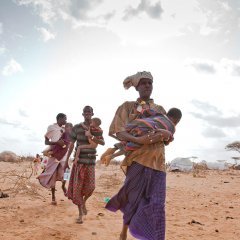 Quatre-vingt-six pour cent des personnes interrogées à Dagahaley ne veulent pas rentrer en Somalie.