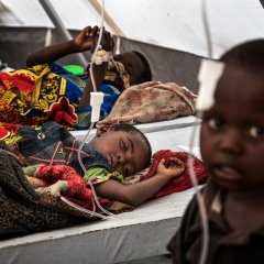 L’épidémie actuelle de choléra a touché plus de 24 000 personnes et fait plus de 500 morts.