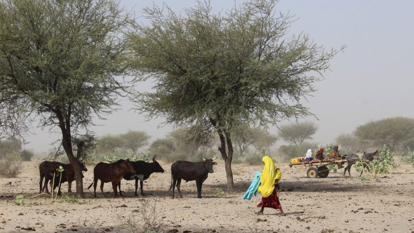 Une femme marche dans un paysage désertique.