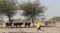 Une femme marche dans un paysage désertique.